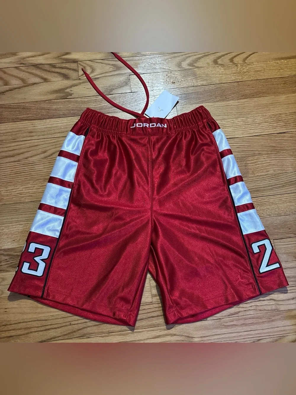 Nike Jordan Brooklyn Cat Scratch  Basketball Shorts Men’s sz L NEW!